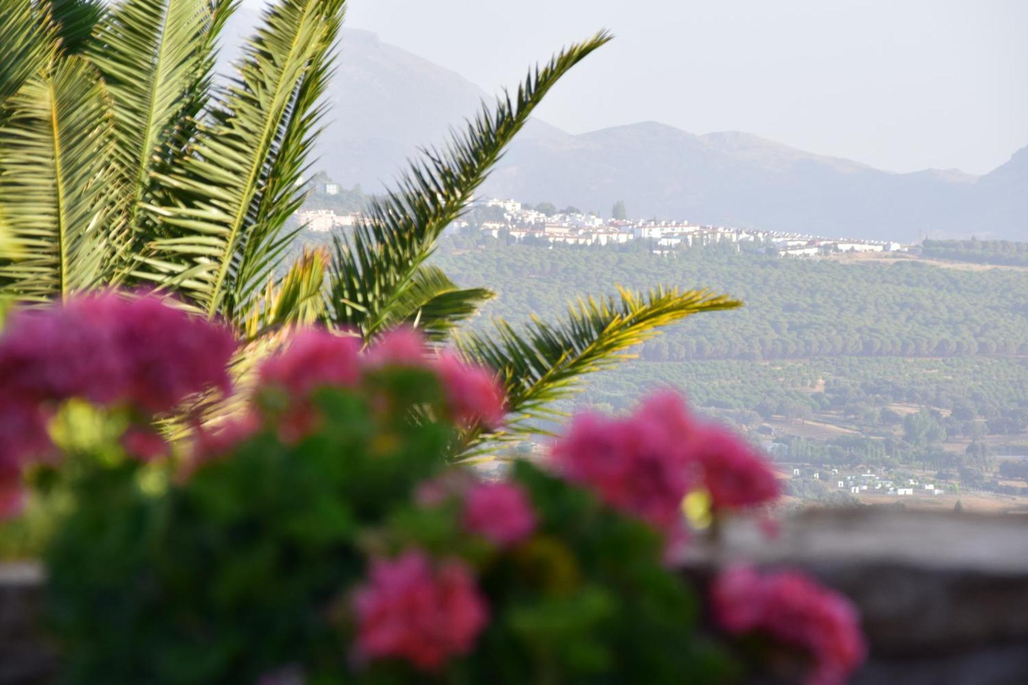 Villa Casa Alta Ρόντα Εξωτερικό φωτογραφία