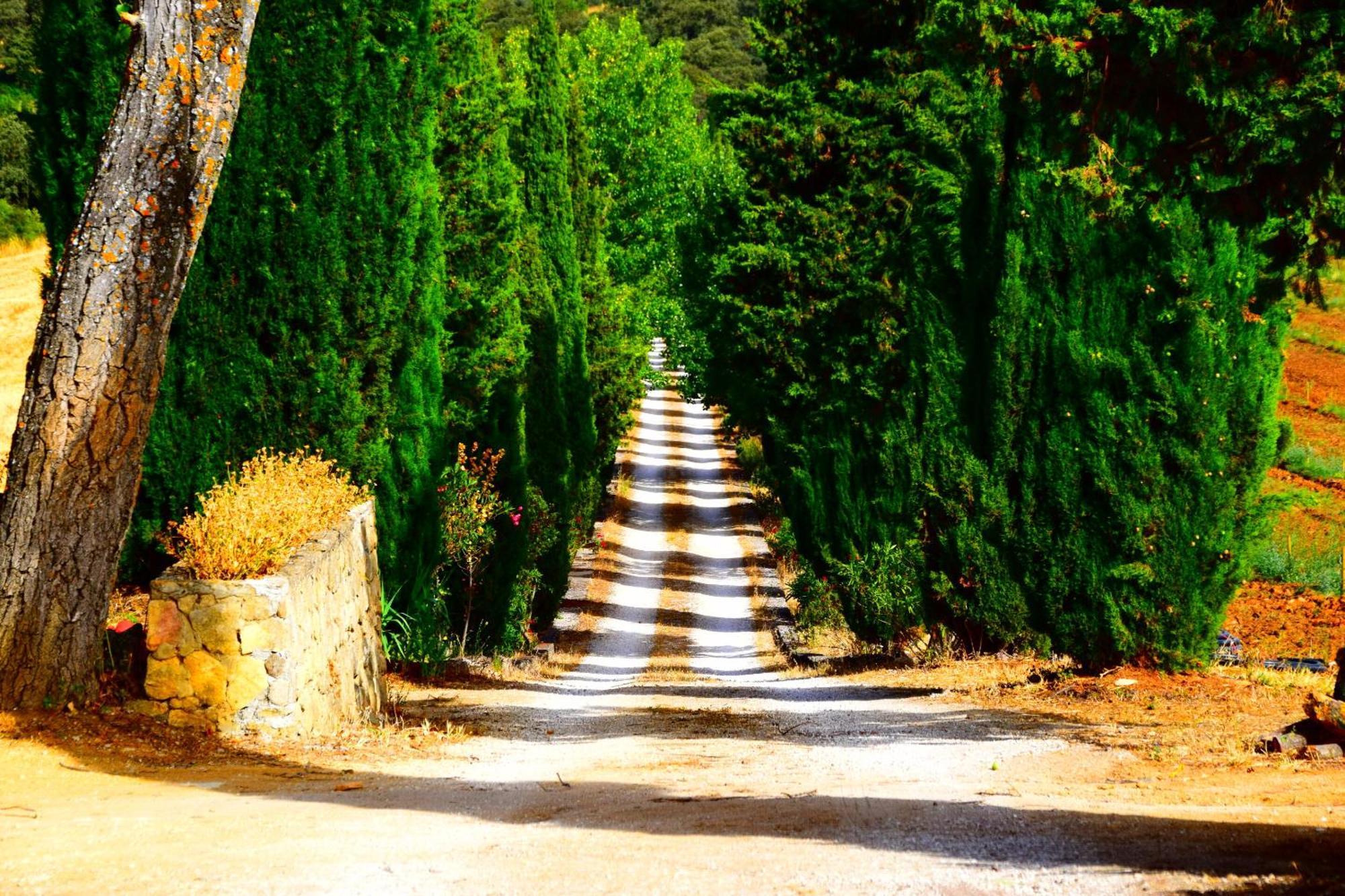 Villa Casa Alta Ρόντα Εξωτερικό φωτογραφία